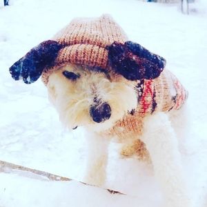 Meet your Posher, Lisa